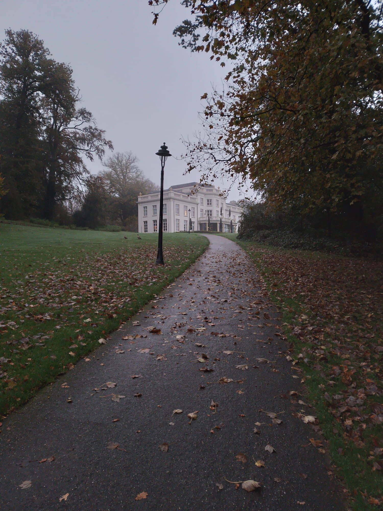 A Large manor in the a park. There is an old-fashioned street lamp on the path to the manor.