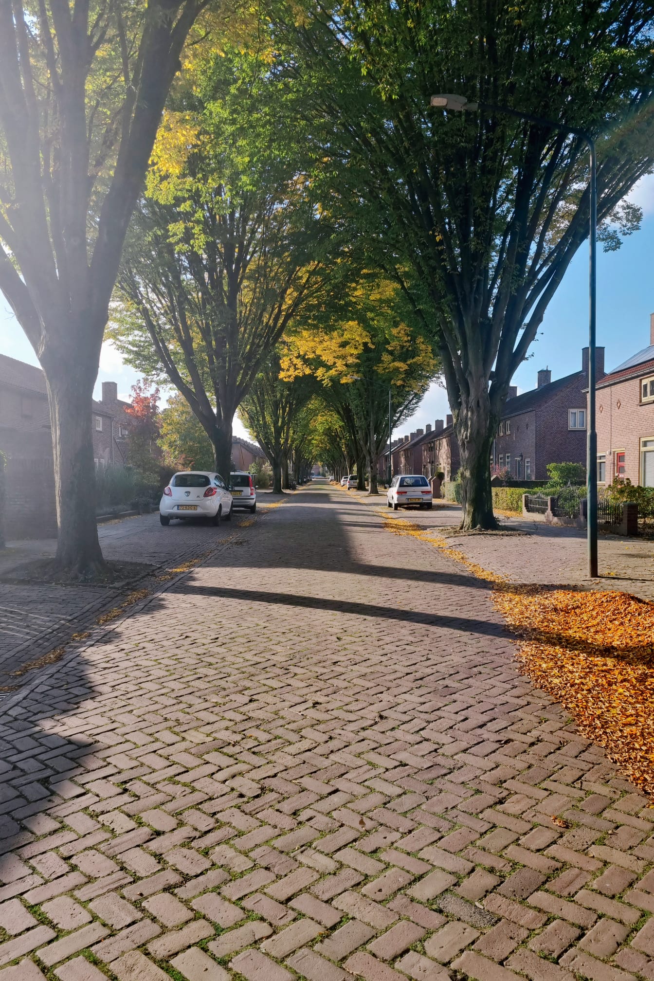 A Street extending into the distance.