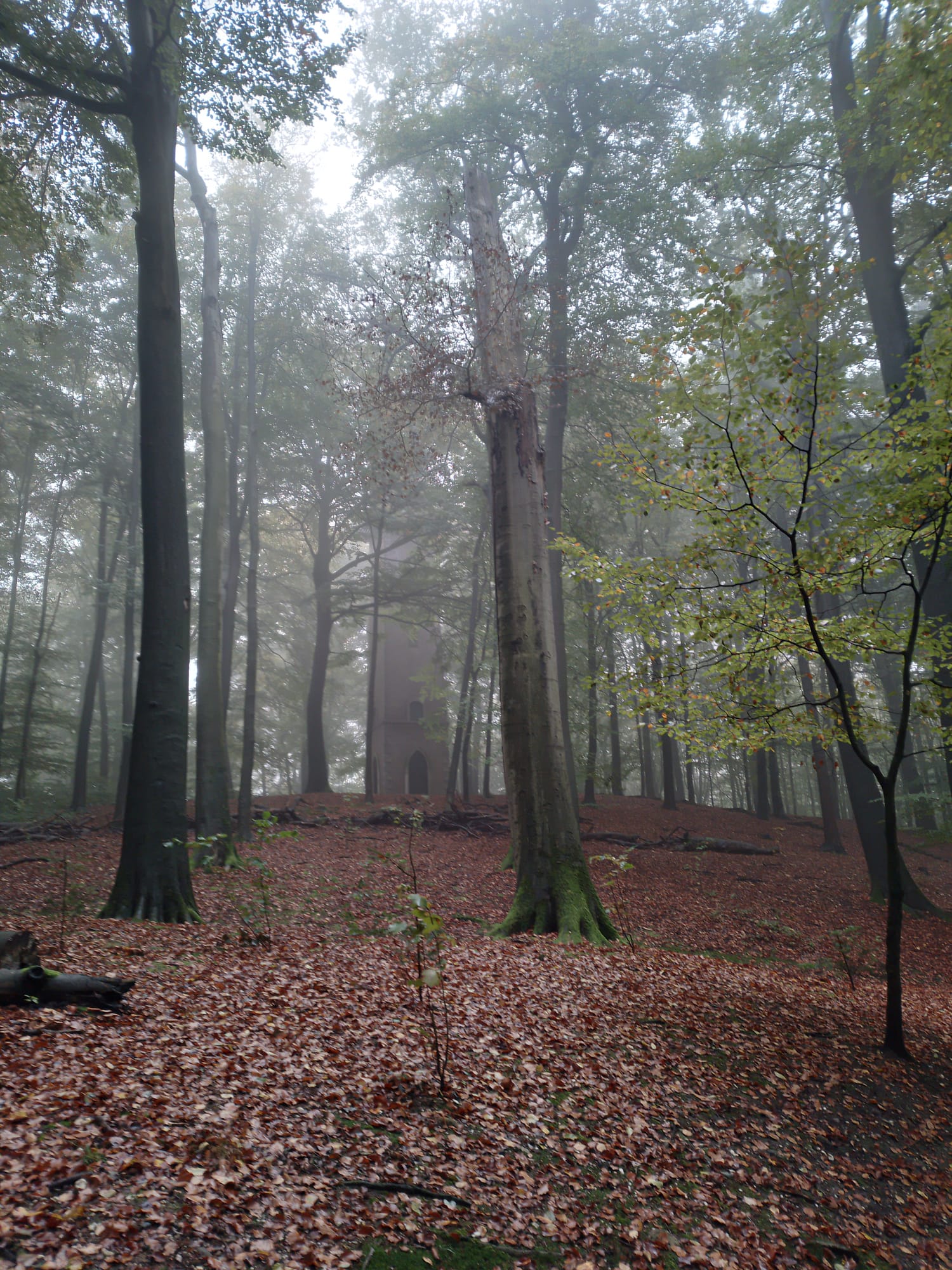 A View of the tower in Sonsbeek park from another angle. The tower can be seen in the distance, covered by a few trees.