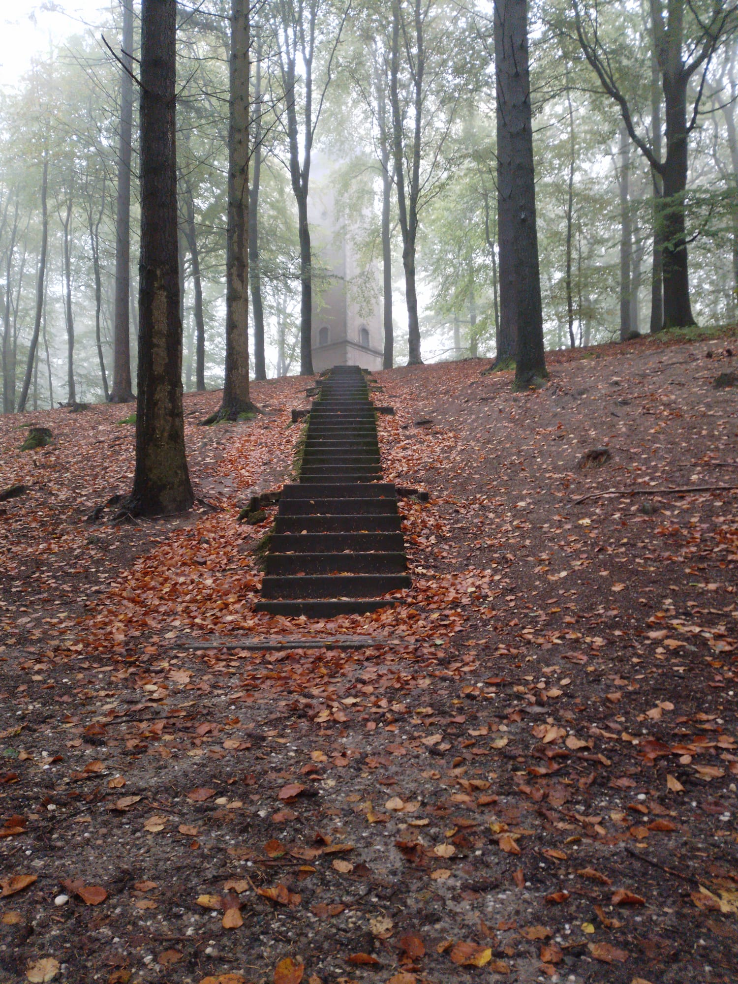 A Picture of the stairs leading up the Sonsbeek park tower.