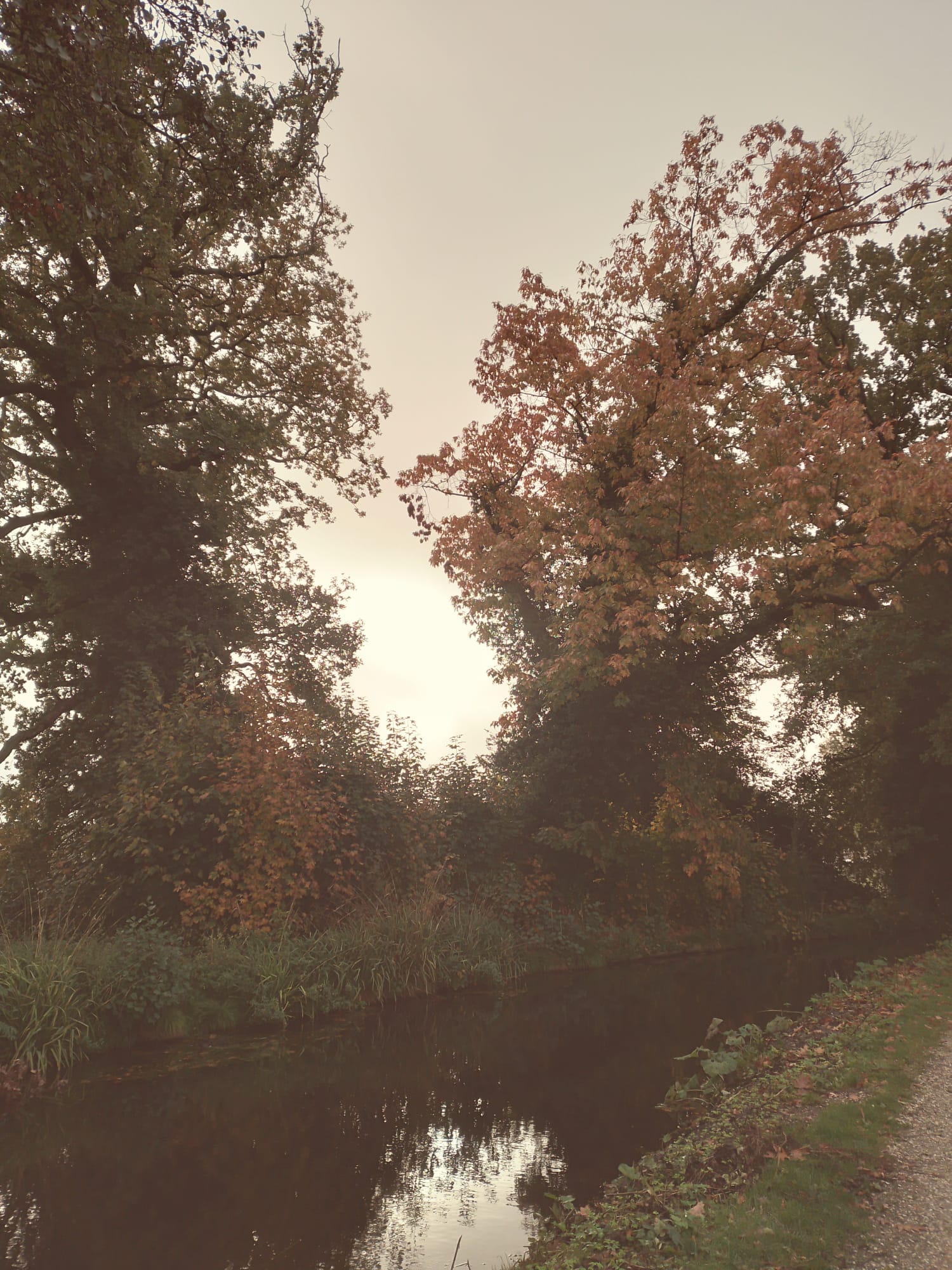 A Very small stream, going through Sonsbeek park.